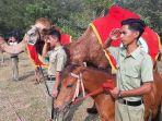 upacara-bendera-hut-ri.jpg