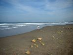 upacara-melasti-sambut-hari-raya-nyepi-di-bali_20220301_044755.jpg
