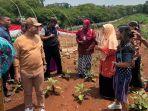 urban-farming-food-estate-di-kota-depok-jawa-barat.jpg
