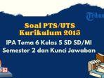 uts-sdsdsd-snmdmsmdmsmdmsdsd.jpg