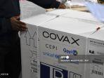 vaksin-covax-dari-sii.jpg