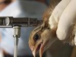 vaksin-flu-burung_20160723_170326.jpg