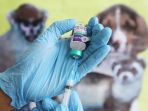 vaksin-rabies-massal-di-jakarta_20190321_210531.jpg