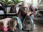 vaksinasi-rabies-gratis-bagi-hewan_20220914_185713.jpg