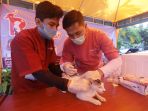 vaksinasi-rabies-gratis-hewan-peliharaan_20200928_163258.jpg