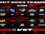 vct-2023.jpg