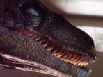velociraptor-versi-jurasic_20150603_122723.jpg