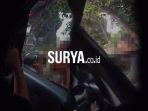 video-anak-jalanan-di-mojokerto-yang-beredar-viral-di-media-sosial.jpg