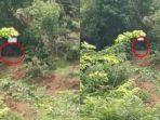video-bksda-dan-warga-tangkap-harimau.jpg