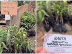 Cerita Tamu Undangan Pernikahan di Tegal Dapat Suvenir Bibit Tanaman, Videonya Viral di Medsos