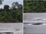 video-viral-penampakan-sesosok-mahluk-yang-disebut-naga-di-sebuah-sungai.jpg