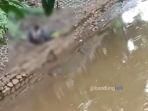 video-viral-sejoli-bermesraan-di-pinggir-sungai-cikapundung-bandung.jpg