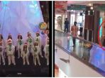 video-viral_20171225_095731.jpg