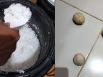 video-warga-sebut-adanya-ebras-diduga-plastik.jpg