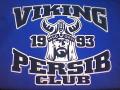 viking-logo.jpg