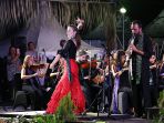 vinculos_20180813_071030.jpg