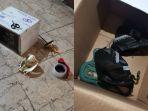 viral-anak-ular-king-cobra-diselundupkan-lewat-paket-jasa-ekspedisi.jpg