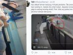 viral-anjing-serang-wanita-membabi-buta-di-malaysia-dog-lovers-beri-komentar-itu-kesalahan-owner.jpg