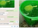 viral-es-batu.jpg