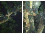 viral-foto-foto-anggota-tni-tidur-pulas-di-atas-pohon-di-sebuah-hutan.jpg