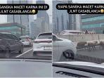 viral-kemacetan-kendaraan-di-jlnt-casablanca-disebabkan-gerombolan-domba-alias-kambing-melintas.jpg
