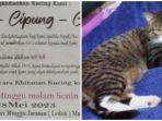 viral-khitanan-kucing-di-banyuwangi-dimeriahkan-jaranan-dan-musik-pemilik-ditertawakan-tetangga.jpg