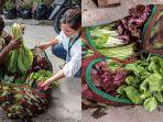 viral-kisah-pedagang-sayur-sumbangkan-dagangannya.jpg