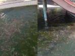 viral-kolam-renang-di-bogor-1111.jpg