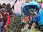 viral-kucing-punya-hobi-olahraga-ekstrem.jpg