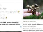 viral-makan-magic-mushroom.jpg