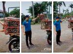 viral-manuk-mabur.jpg
