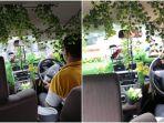 viral-mobil-seorang-driver-online-dipenuhi-tanaman.jpg