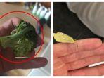 viral-pria-temukan-ulat-dalam-sayur-brokolinya-bukannya-dibuang.jpg