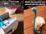viral-sendok-sayur-yang-hidup-populer-dan-narsis-di-instagram-hingga-punya-99-ribu-pengikut.jpg