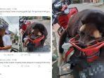 viral-seorang-ayah-bawa-pulang-musang.jpg