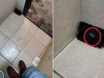 viral-sikat-wc.jpg