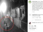 viral-video-aksi-pencurian-kucing-himalaya-di-depok-pemilik-berharap-peliharaannya-dikembalikan.jpg