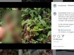 viral-video-batang-kayu-dipahat-mirip-alat-kelamin-pria-di-jalur-pendakian-tuai-hujatan-netizen.jpg