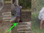viral-video-ibu-seret-kaki-balita-posisi-kepala-di-tanah-nangis-histeris-cuma-gegara-tanaman-cabai.jpg
