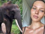 viral-video-model-rusia-pose-telanjang-di-atas-gajah-di-bali.jpg