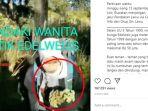 viral-video-pendaki-ambil-bunga-edelweis-di-gunung-lawu.jpg
