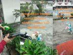 viral-video-warga-isoman-bagi-bagi-hadiah-ke-nakes.jpg