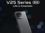 vivo-v25-series-5g.jpg