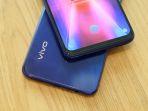 vivo_3403kddjdhffufhsg9t39-gjl.jpg