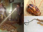 wabah-cordyceps-di-serial-the-last-of-us-kiri.jpg