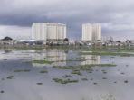 waduk-pluit-dipenuhi-tanaman-eceng-gondok.jpg