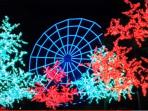 wahana-ferris-wheel_20151221_112048.jpg