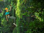 wahana-zipline-di-flight-of-the-gibbon.jpg