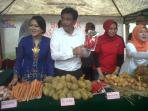 wakil-gubernur-dki-jakarta-djarot-saiful-hidayat-meninjau_20150614_150956.jpg