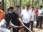wakil-gubernur-kepulauan-bangka-belitung_20160502_193558.jpg
